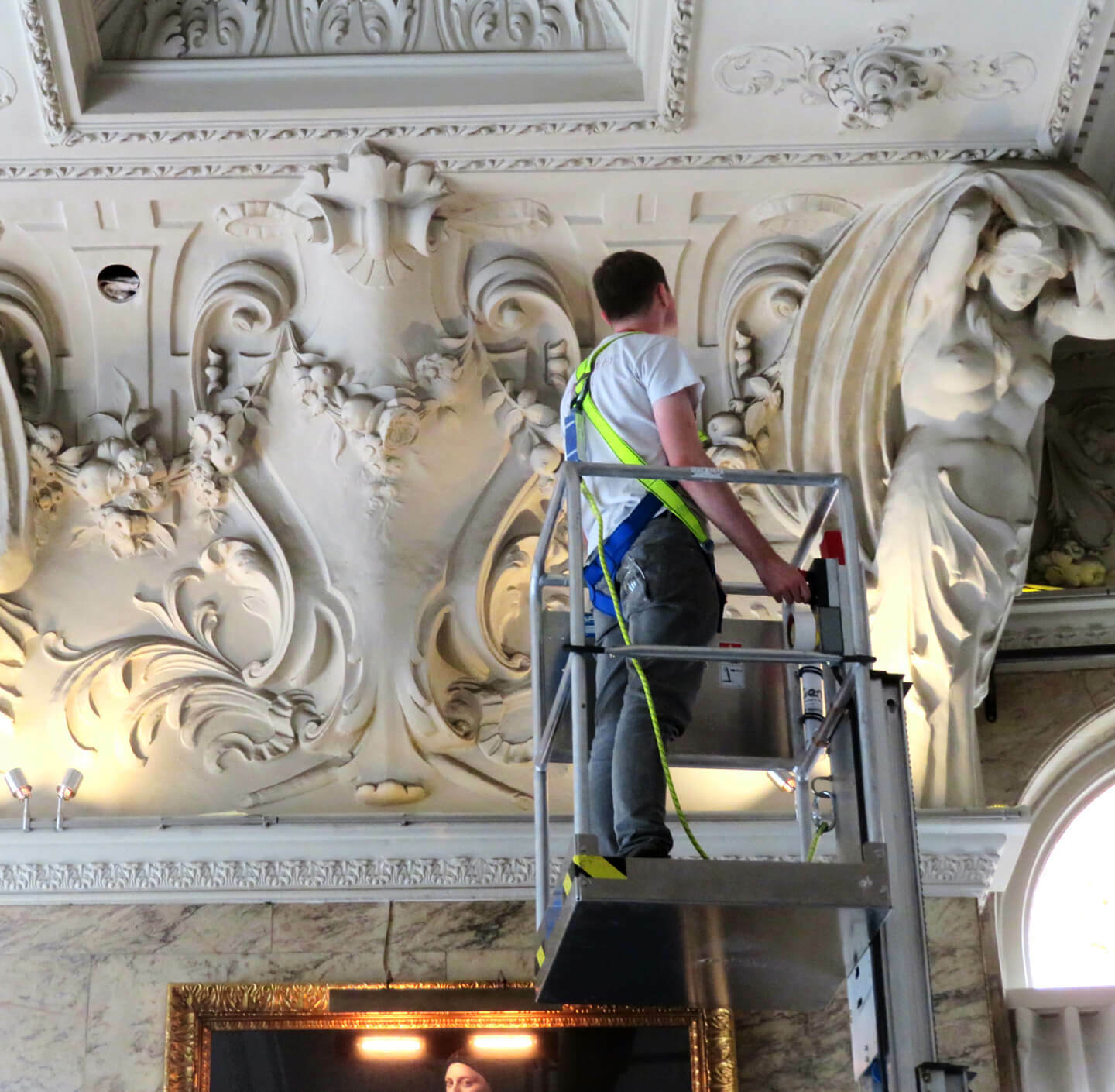 Restorations ceiling surveys